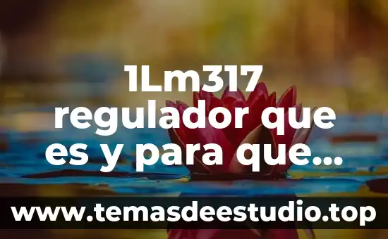1Lm317 regulador que es y para que sirve