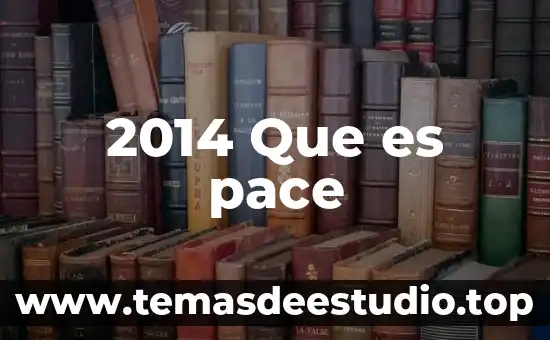 Qué es un proyecto simple y características 6 2014 Que es pace