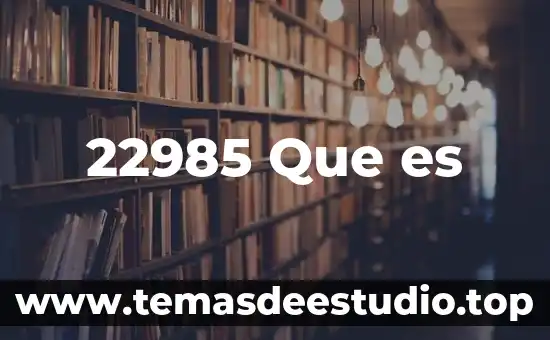 22985 Que es