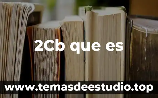 2Cb que es