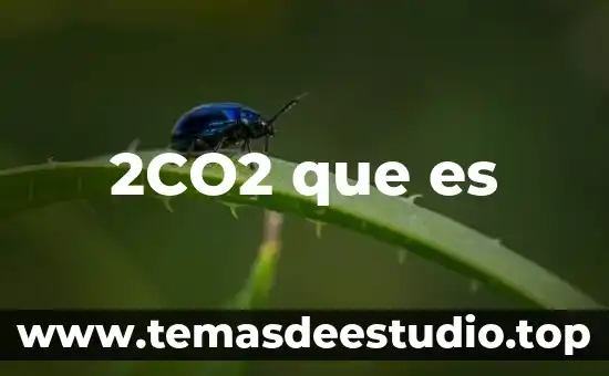 Altimetro que es la ican 8 2CO2 que es