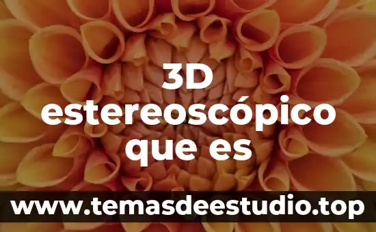 3D estereoscópico que es
