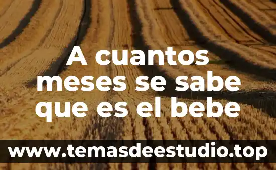 A cuantos meses se sabe que es el bebe