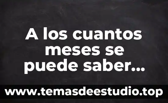 A los cuantos meses se puede saber que es
