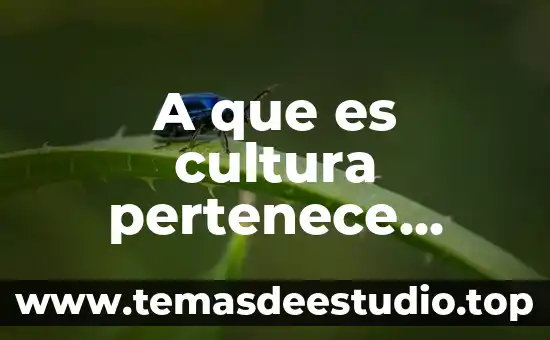 Que es un aspecto de la cultura emergente 8 A que es cultura pertenece altotonga