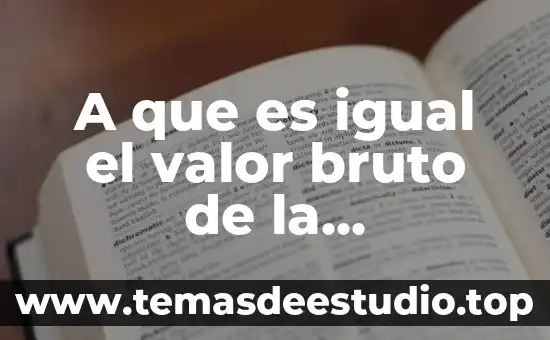 Que es ser bruto 4 A que es igual el valor bruto de la producción