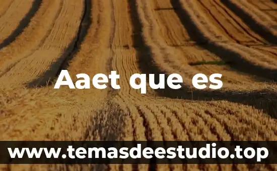 Que es nombre y parentesco del informante 5 Aaet que es
