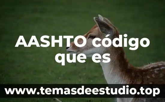 Que es el codigo 020 5 AASHTO código que es