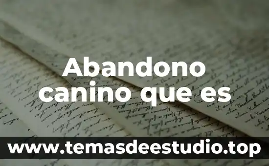 Welfare System que es 6 Abandono canino que es