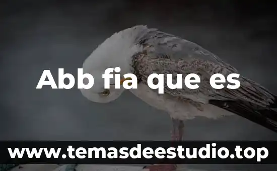 Abb fia que es