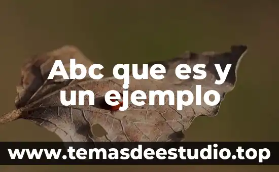 Que es la cultura en una sociedad y ejemplo 8 Abc que es y un ejemplo