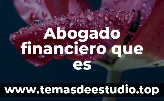 Abogado financiero que es