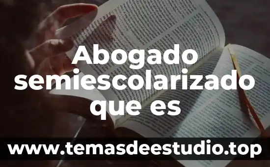Abogado semiescolarizado que es