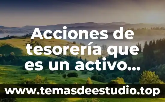 Acciones de tesorería que es un activo pasivo o activo