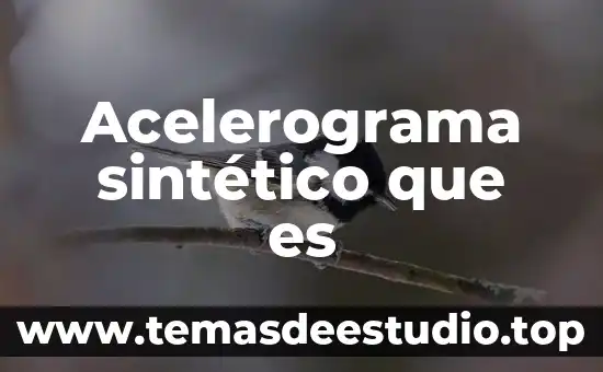 Acelerograma sintético que es