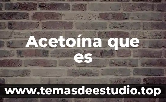 Que es nombre y parentesco del informante 3 Acetoína que es
