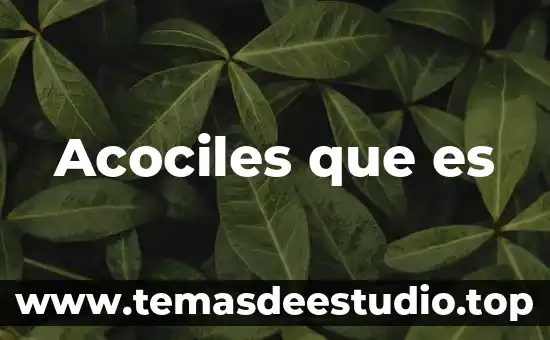 Que es la unidad de arte o unidad de invención 6 Acociles que es