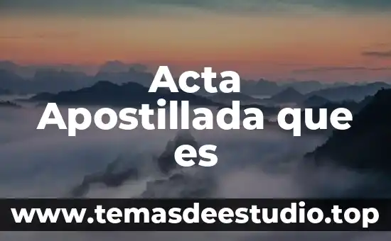 Acta de seguridad social que es 8 Acta Apostillada que es