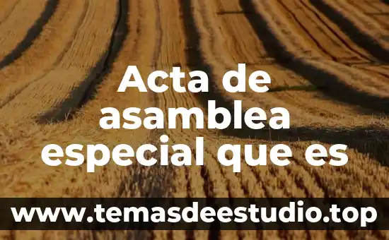 Acta de seguridad social que es 7 Acta de asamblea especial que es