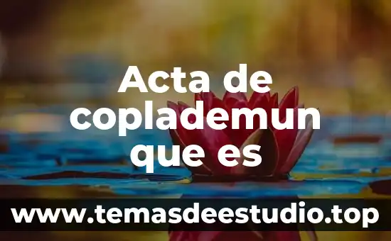 Acta de seguridad social que es 3 Acta de coplademun que es