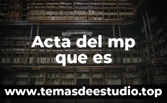 Acta del mp que es