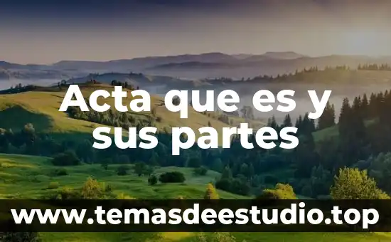 Que es un libro y sus partes para niños 4 Acta que es y sus partes
