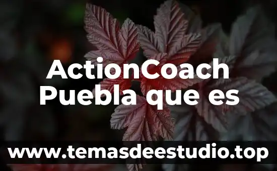 ActionCoach Puebla que es
