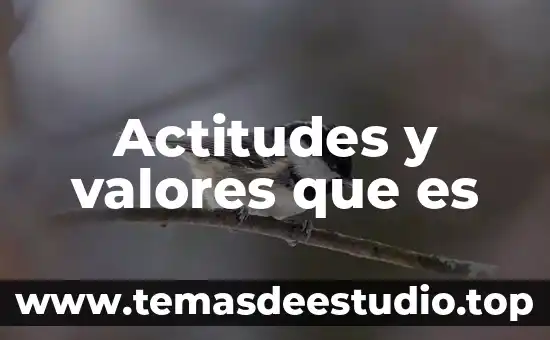Que es etica y valores en filosofia 6 Actitudes y valores que es