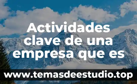 Por que es importante asignacion de actividades en una empresa 6 Actividades clave de una empresa que es