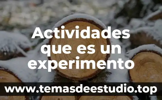 Por que es importante asignacion de actividades en una empresa 8 Actividades que es un experimento
