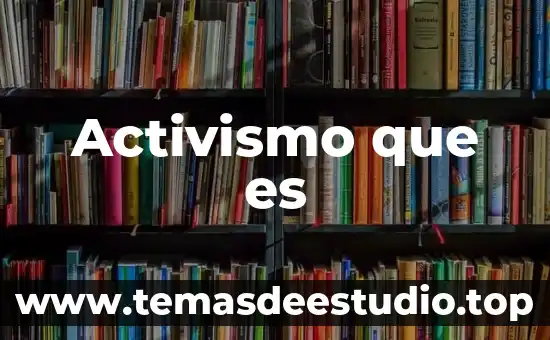 Activismo que es