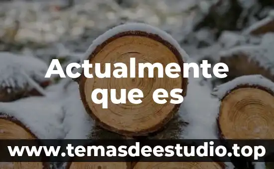 Abejorro de color negro que es inofensivo 3 Actualmente que es