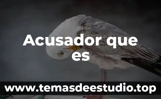 Excitativa de justicia que es ejemplar 6 Acusador que es