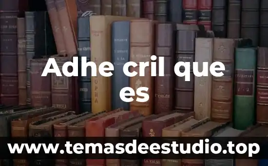 Que es y cómo funciona una sociedad mercantil 7 Adhe cril que es