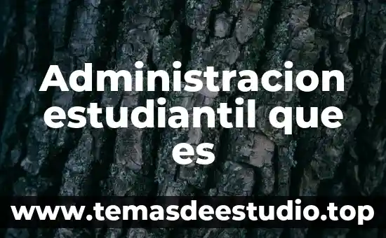 Administracion estudiantil que es