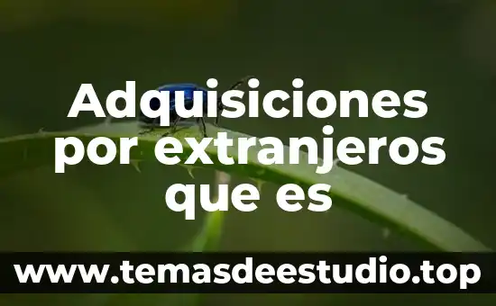 Que es una falda tableada hatsune miku 6 Adquisiciones por extranjeros que es