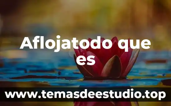 Excitativa de justicia que es ejemplar 8 Aflojatodo que es