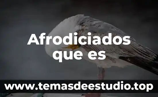 Adea que es 4 Afrodiciados que es