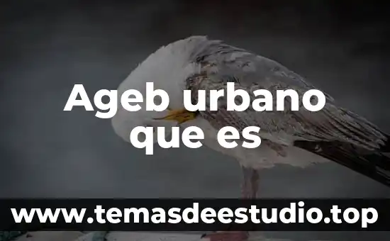 Documento del plan guadalupe victoria que es 8 Ageb urbano que es