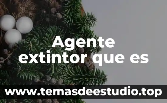 Agente extinguidor que es 7 Agente extintor que es