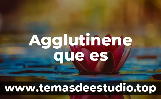 Qué es la artesanía de los mexicas 4 Agglutinene que es