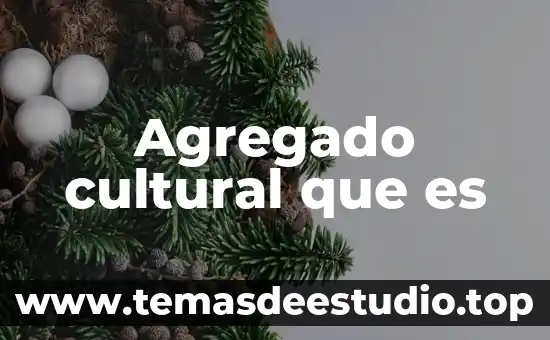 Agregado cultural que es