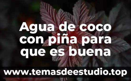 Que es una fuente de agua superficial 6 Agua de coco con piña para que es buena