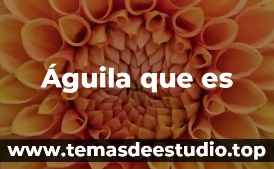 Águila que es