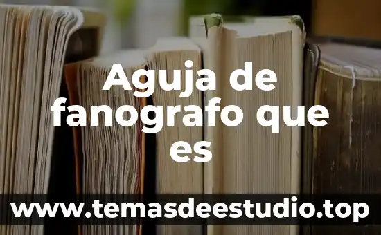 Alfombra met gala que es 8 Aguja de fanografo que es