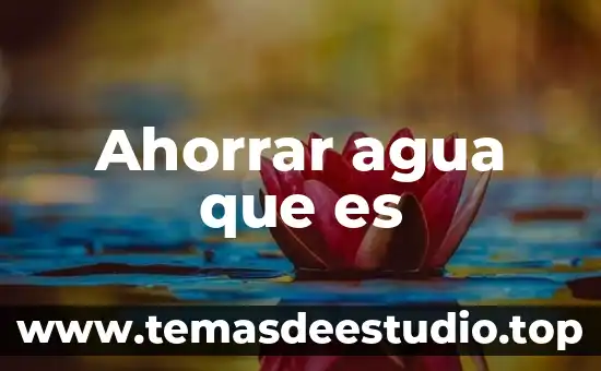 Agua de coco con piña para que es buena 3 Ahorrar agua que es