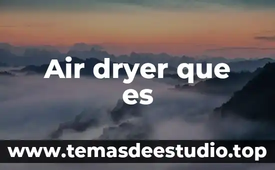 Xocoyoli que es 4 Air dryer que es