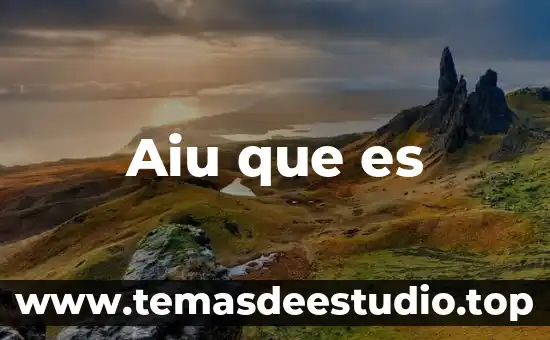 Aiu que es