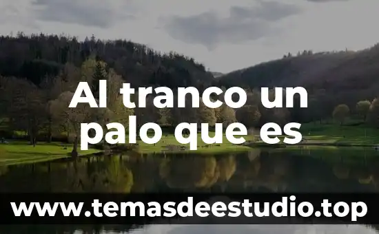 Que es costo puro 4 Al tranco un palo que es