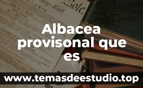 Albacea provisonal que es